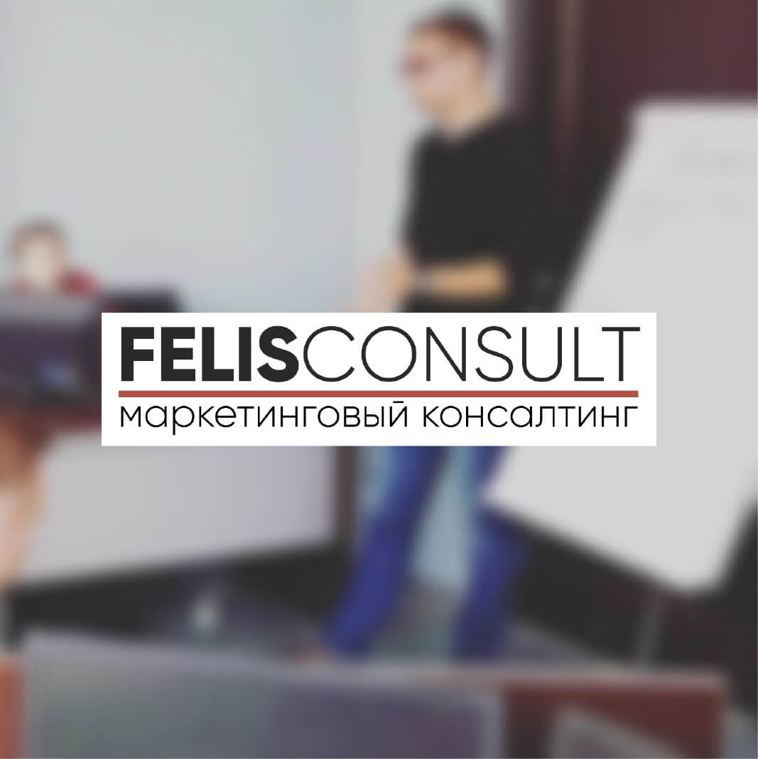 Felis Consult School